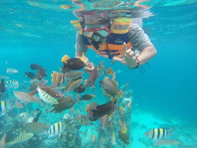 Shore Snorkeling In North Bay