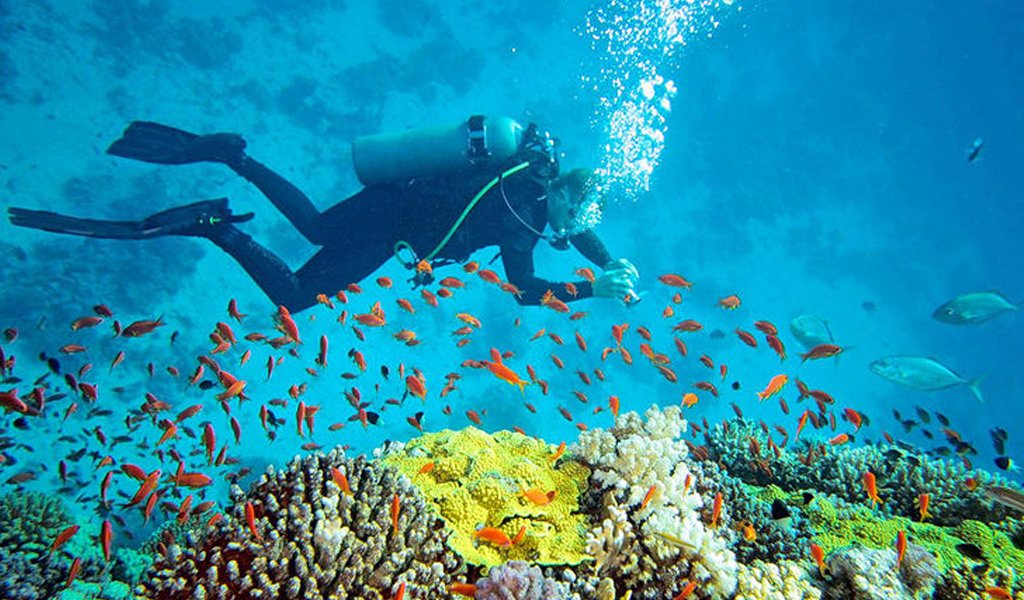 Is Andaman Safe for Tourists? What First-Time Visitors Should Know