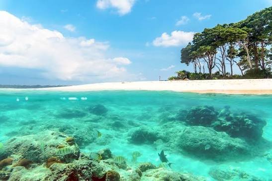 Merk Bay Beach