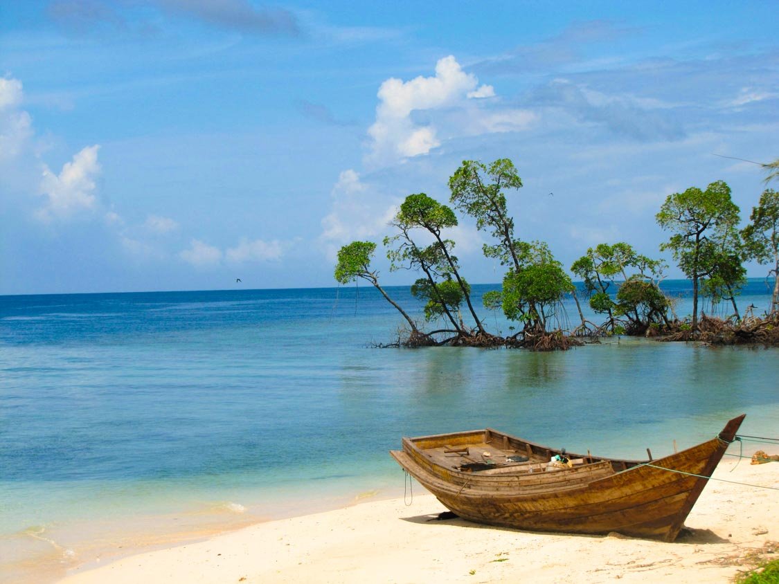 Elephant Beach