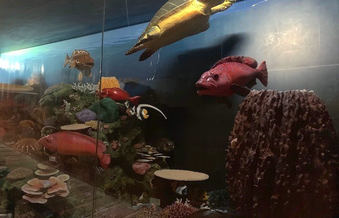 Fisheries Museum